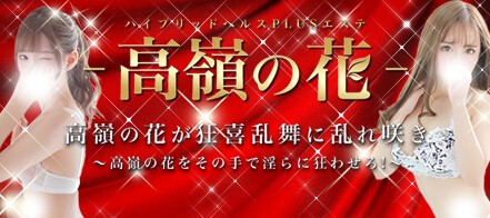 大人の遊園地 デリヘルワールド にこるさんプロフィール