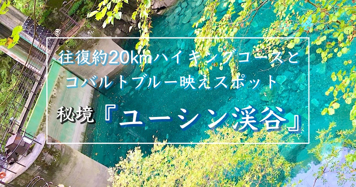 丹沢のユーシン渓谷を歩いてきたよ！ : 全力わんこ