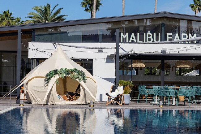 リビエラ逗子マリーナ「MALIBU FARM カマクラテラス」内覧会にお邪魔してきました！グランピングジャパン株式会社