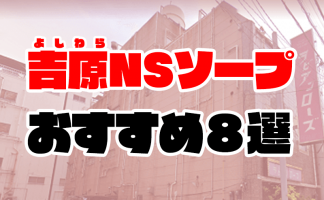 東京都】吉原のおすすめS着ソープランドまとめ！【全111店舗】 | enjoy-night[エンジョイナイト]