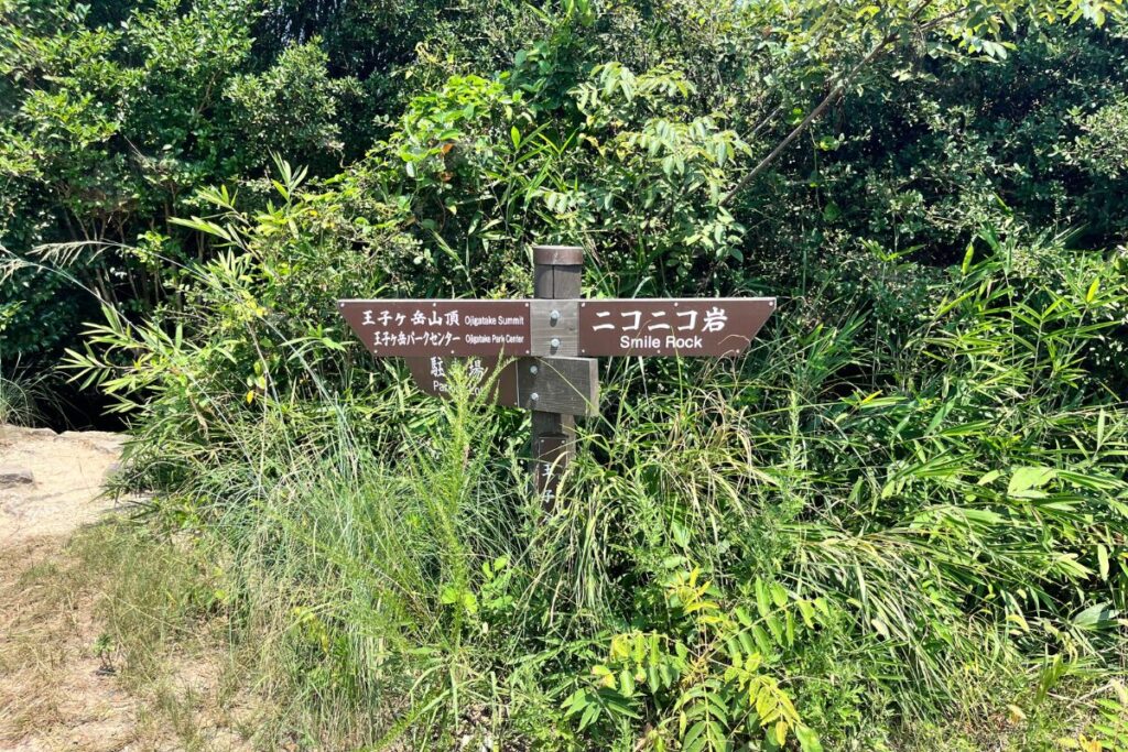 ニコニコ岩.jp nikonikoiwa.jp瀬戸内は王子が岳のシンボル「ニコニコ岩」の情報やアイテムを発信