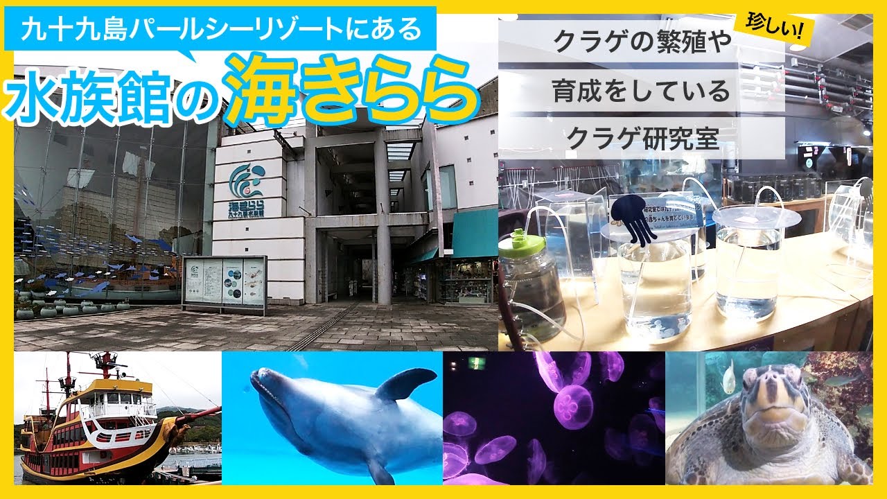 九十九島水族館海きらら長崎 佐世保 おすすめの人気観光・お出かけスポット - Yahoo!トラベル