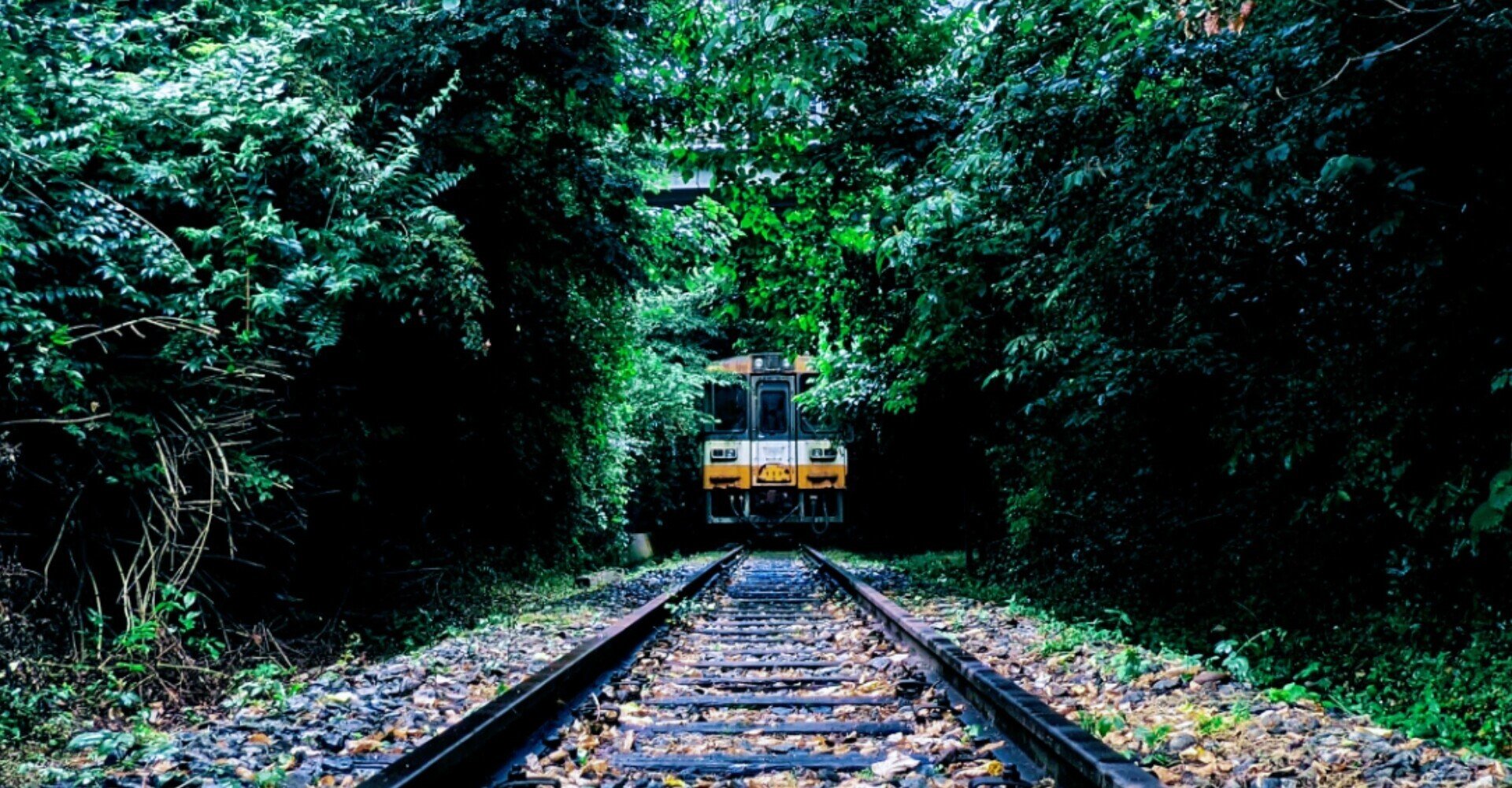 遊歩道として愛される阪鶴鉄道の廃線跡 温泉街として繁栄した宝塚市のルーツを巡る旅CBC MAGAZINE