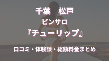 広島県・福山のメンズエステ7選！抜き/本番ありなのか体当たり調査！【2024年最新】 | otona-asobiba[オトナのアソビ場]