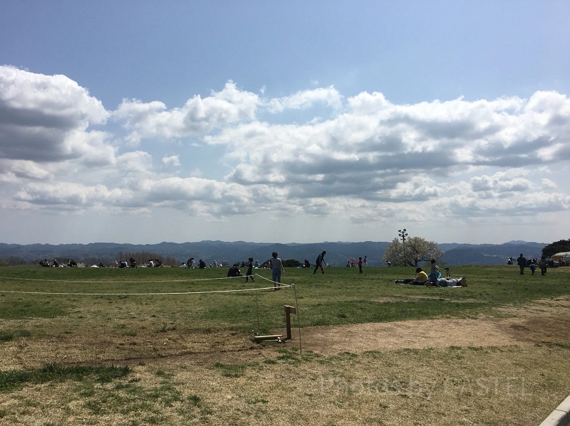 かわいい動物たちとのふれあいがいっぱい！ 一日中思いっきり遊べる「マザー牧場」に行こう