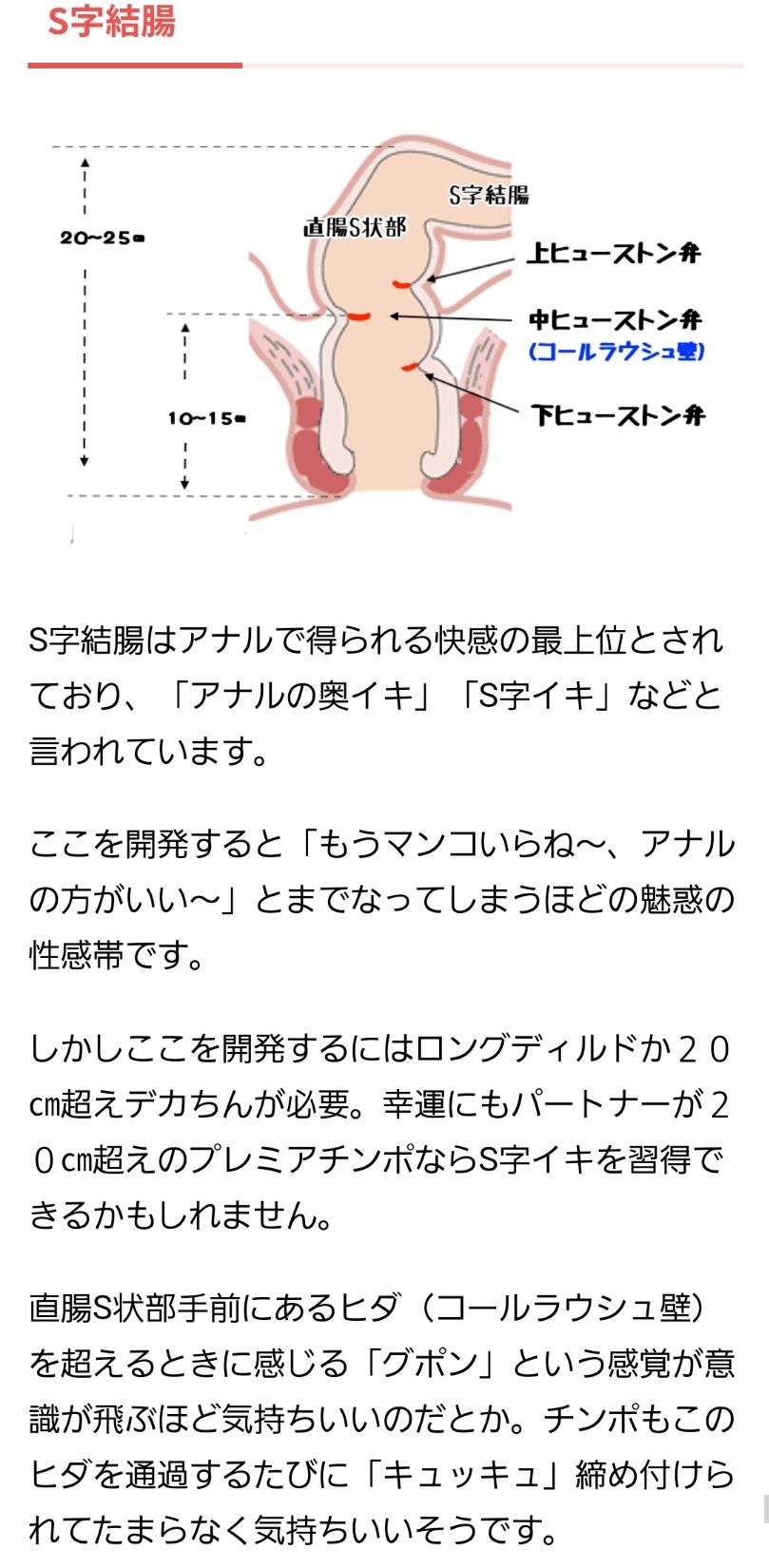 内視鏡技師勉強会 in 山内診療所 「下部消化管内視鏡検査」 -