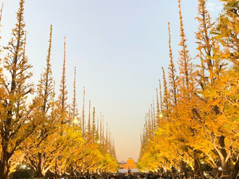 明治神宮外苑 聖徳記念絵画館 – SFM