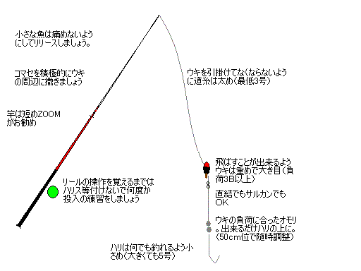 潮干狩り・潮だまりでとれる生き物とは！採集の注意点・リリースについて東京アクアガーデン