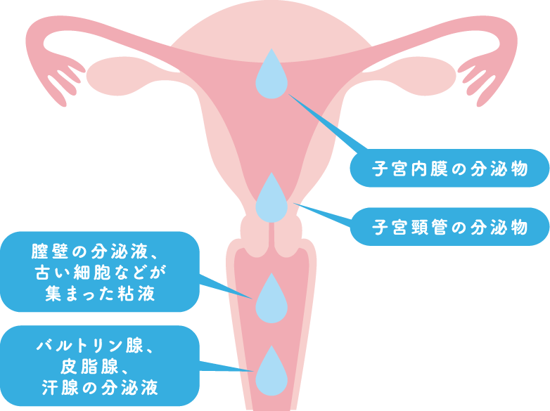 閉塞性の無精子症。 │【医師監修】ジネコ不妊治療情報