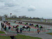 カラ競馬場観戦記 1: Nathanielの競馬ブログ