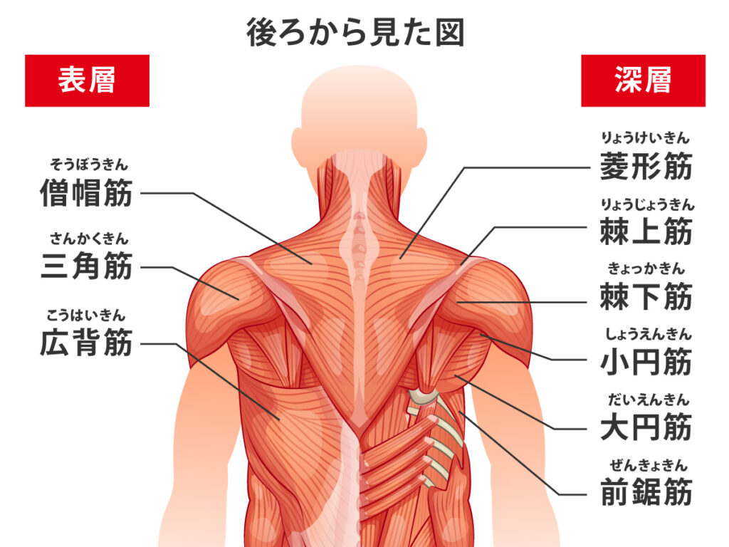 走ると膝に痛み～ランナー膝（ぜんしん整形外科 守重昌彦院長）～｜医療ニュース トピックス｜時事メディカル｜時事通信の医療ニュースサイト