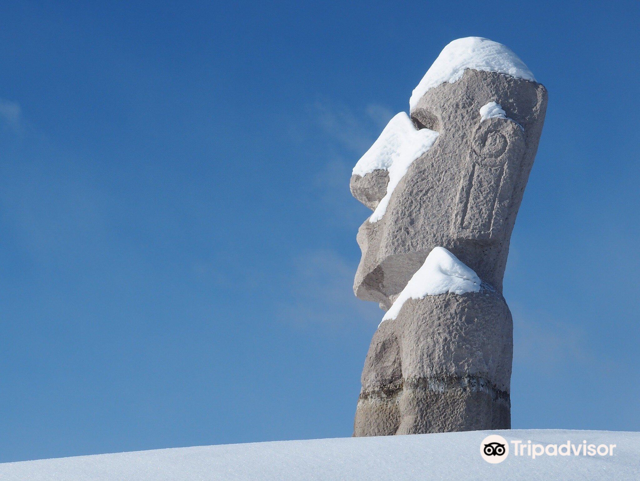真駒内滝野霊園 アクセス・営業時間・料金情報 -