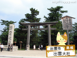 出雲大社の遷宮から考える日本の森林資源と建築技術の継承について住まいの本当と今を伝える情報サイト LIFULL HOME& 039;SPRESS