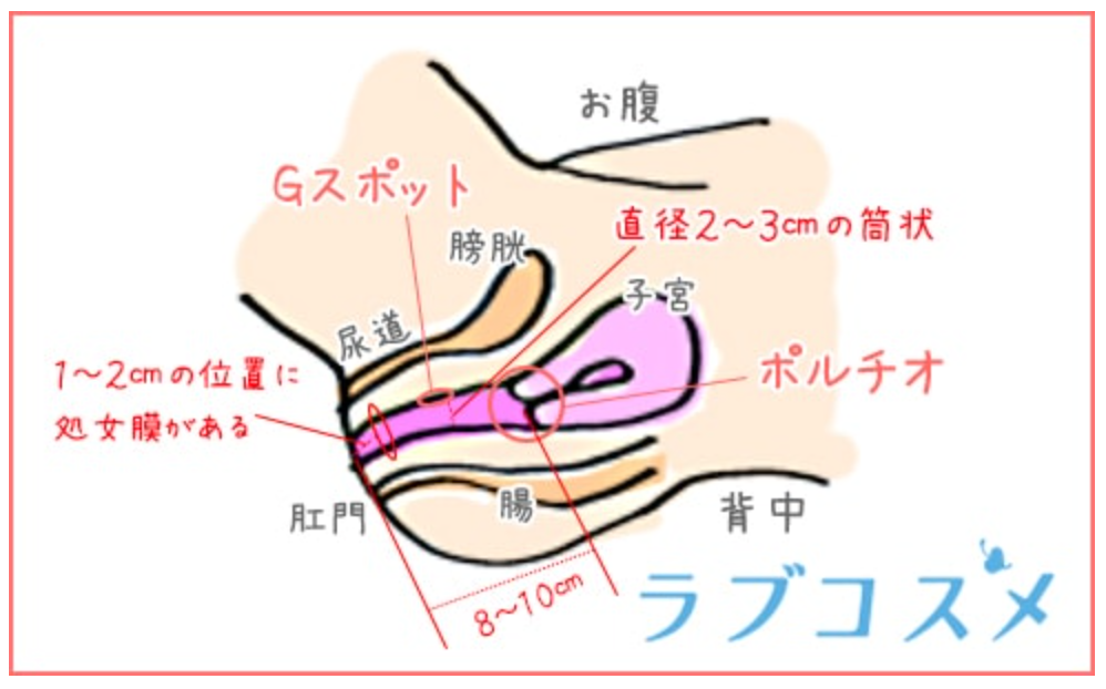 コックリング（ペニスリング）とは？正しい使い方や危険性も徹底解説【医師監修】 | 新橋ファーストクリニック【公式】