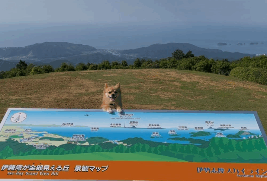 伊勢志摩スカイライン一宇田展望台ワインレッドの独り言