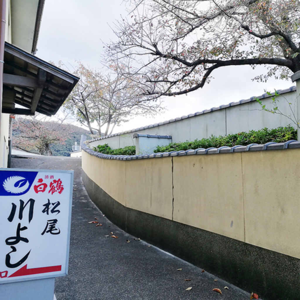 江戸川区南小岩8-15-17(小岩駅) 桂昇小岩ビルのリース店舗・キャバクラ・風俗可の貸店舗・貸事務所|テナントナイター[2072]