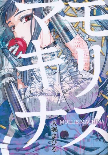 コミティア116 オタクビーム/大塚まひろ「フラジャイル・エス」(ラブストーリー一般)｜売買されたオークション情報、Yahoo!オークション(旧ヤフオク!) 