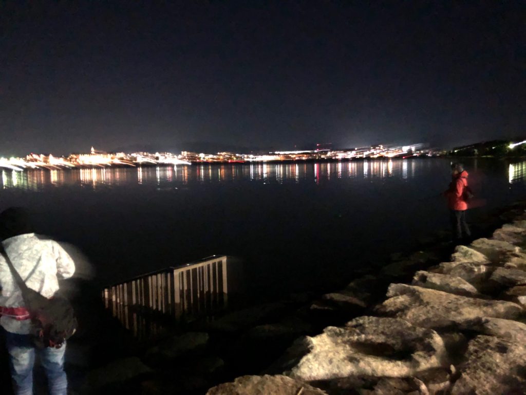 50UP 夏の夜釣りパターンになってきました@2018年6月25日琵琶湖おかっぱりバス釣りブログ 逆に 釣果速報・釣り方解説