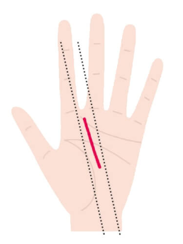 切れ切れの運命線をもつ人は飽き性。むしろ長所です＜ざんねんな手相＞ESSEonline エッセ オンライン