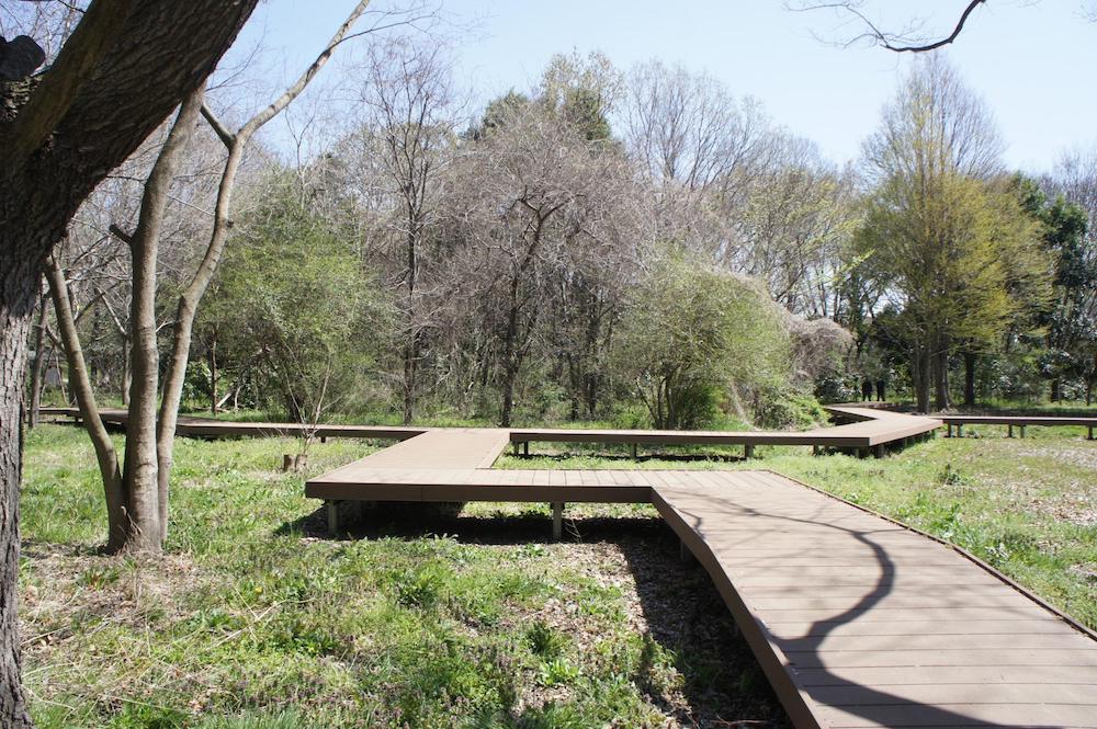 見沼自然公園・さぎ山記念公園・埼玉県さいたま市見沼区にある自然公園・さぎは飛んでいるか？西村治彦の日記