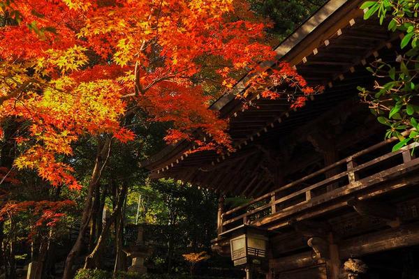 大窪寺から道の駅ながおまでの歩き遍路 女体山・四国のみち88OHENRO ＋ シコクタビ
