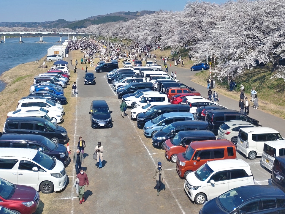 ☆白石川堤一目千本桜満開の春景色』柴田・大河原・川崎 宮城県 の旅行記・ブログ by SUR