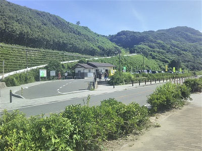 福岡 桜井二見ヶ浦の夫婦岩 福岡県糸島市 : マユリ～ナの暇つぶし＊香川のお店食べ歩き
