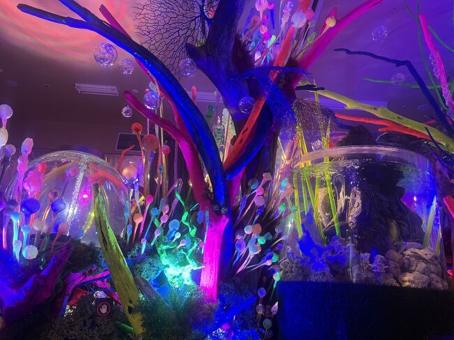 宇宙水族館 モゾTikTok