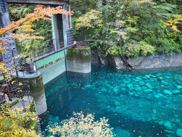 ユーシン渓谷」へ行ってきました♪隊長、チーズであります！！〜遊びと躾と妄想と