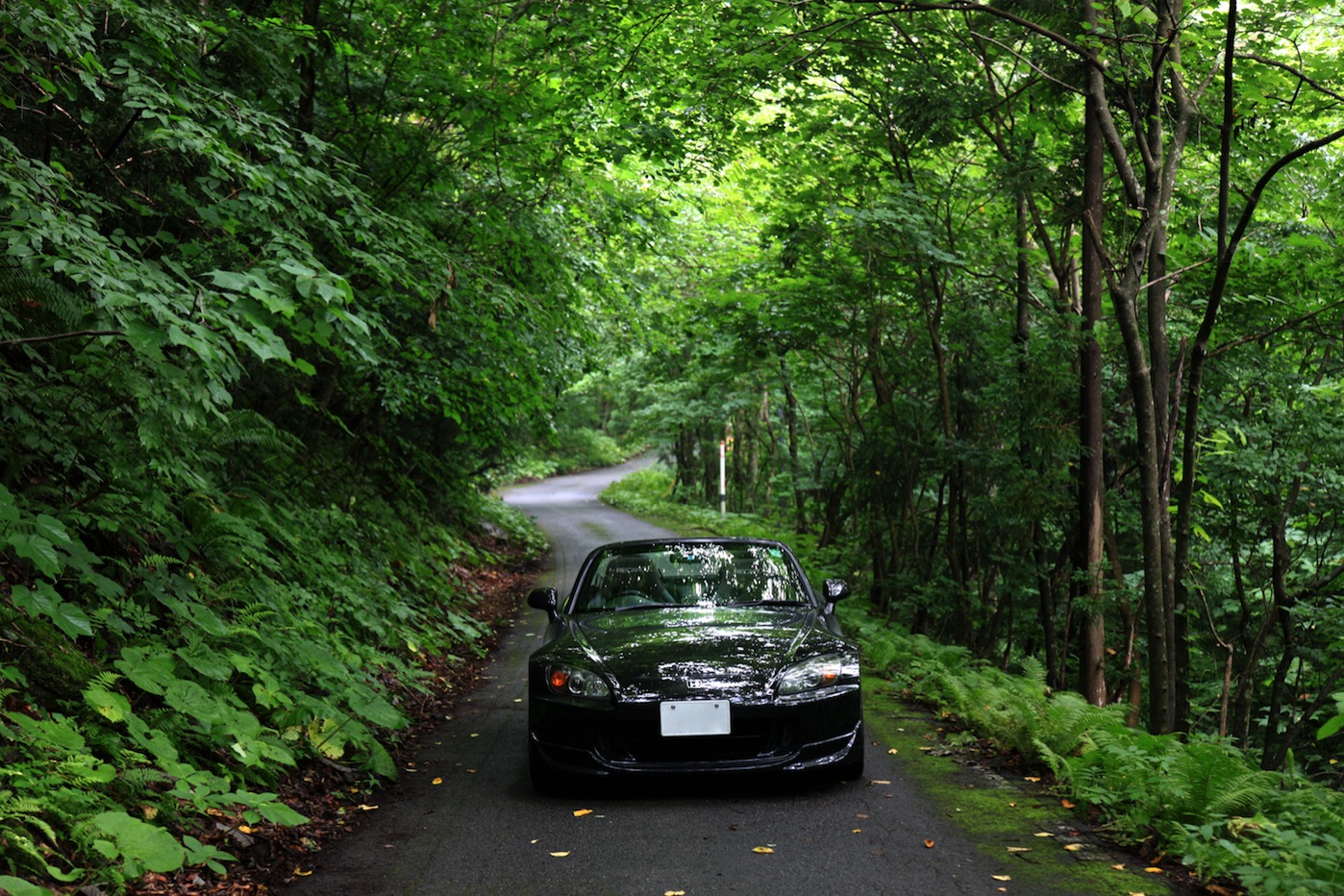 岩手・絶景スポットおすすめ12選！ドライブで行こう！定番から穴場まで - じゃらんレンタカードライブガイド