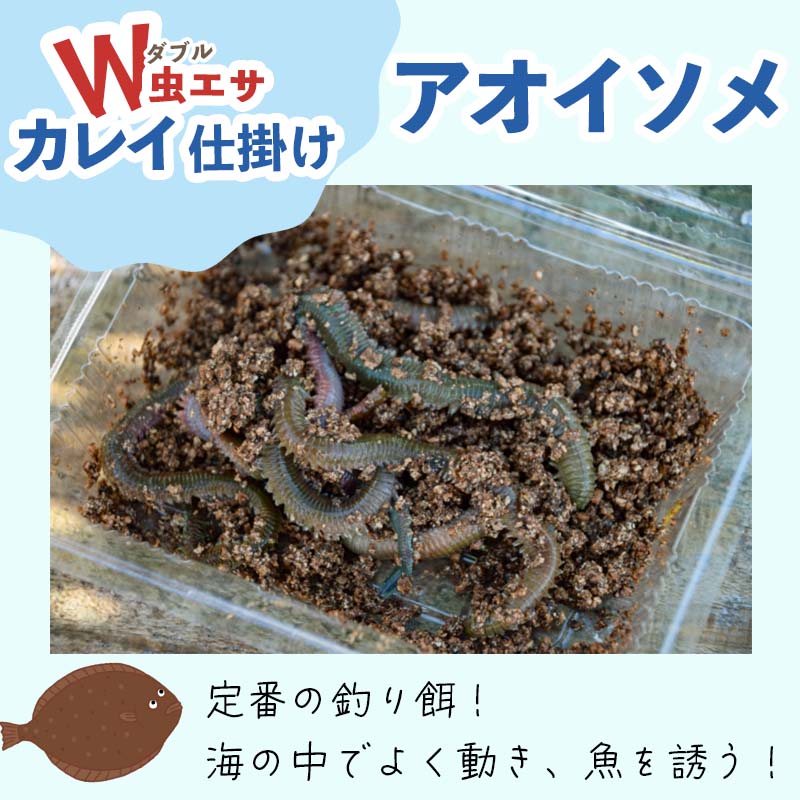 投げ釣り名人・林さん直伝 飛ばして飛びつけ、投げカレイ！パワーイソメ大攻略