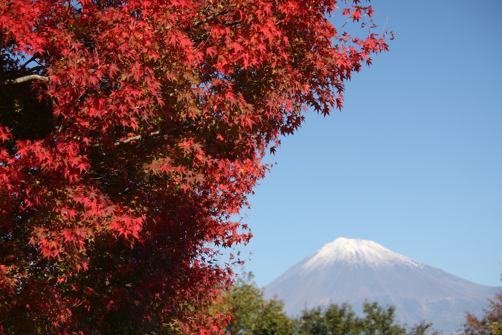 全41山紹介 富士山の眺めが最高に美しい厳選の山10選を詳細解説！登山レポートレポート山のコト登山・トレラン・山スキーマガジン「山旅旅」