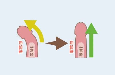 初心者のためのストリップ劇場ガイド