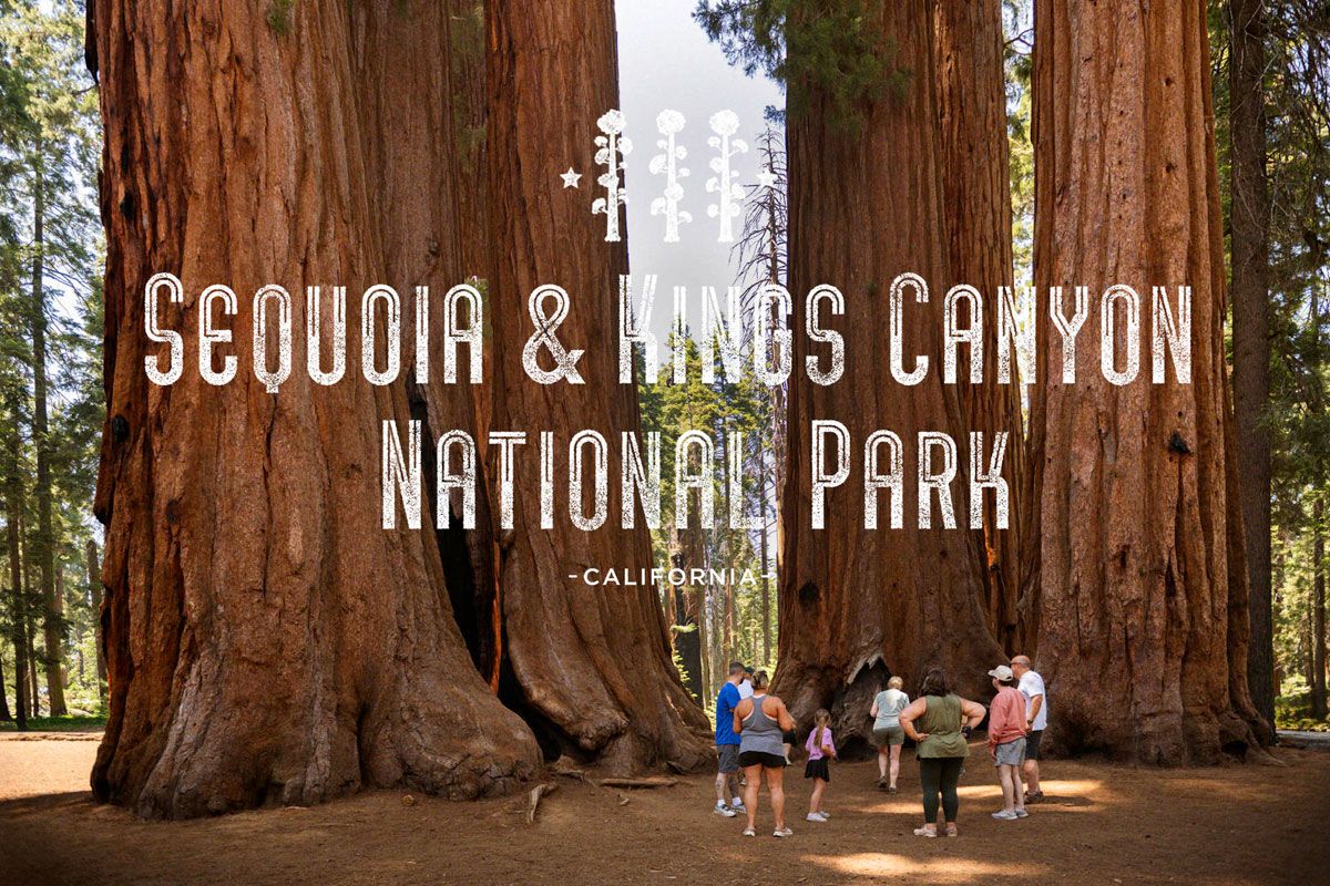 サンフランシスコ セコイア・キングスキャニオンへの行き方、楽しみ方 概要編地球の歩き方