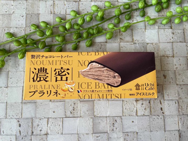 ウチカフェ 贅沢チョコレートバー 濃密プラリネ | アイスマン福留の「アイスクリームマニア」