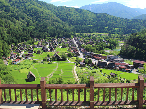 白川郷に行くなら外せないおすすめ観光スポット7選│クラブツーリズム