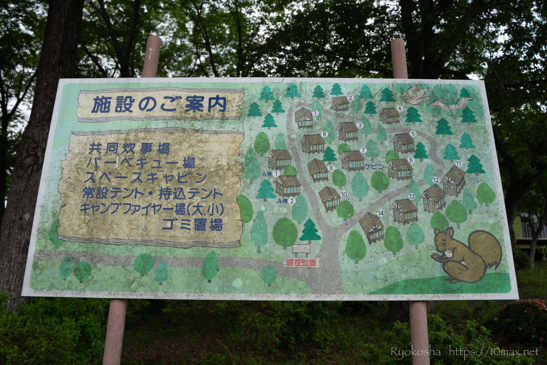 茨城 秋・冬のキャンプにおすすめ！フォレストピア七里の森 - One