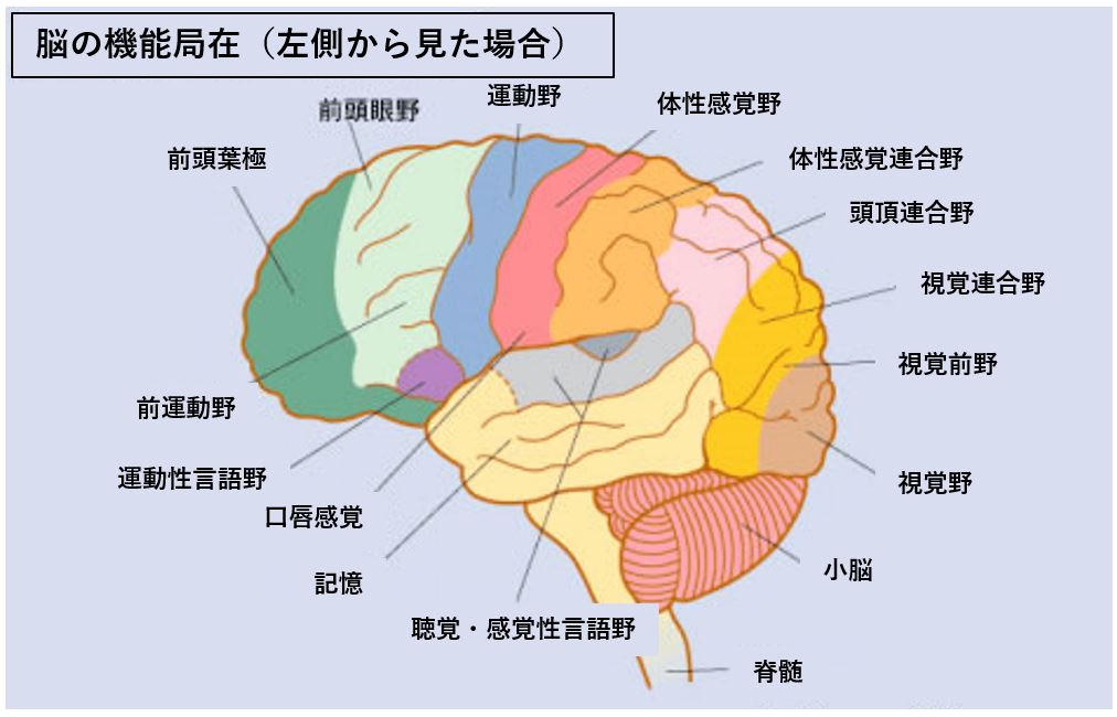 乳首責め特化】外国製の媚薬を使ったら乳首が性感帯になった彼氏 [快蜜本舗] |