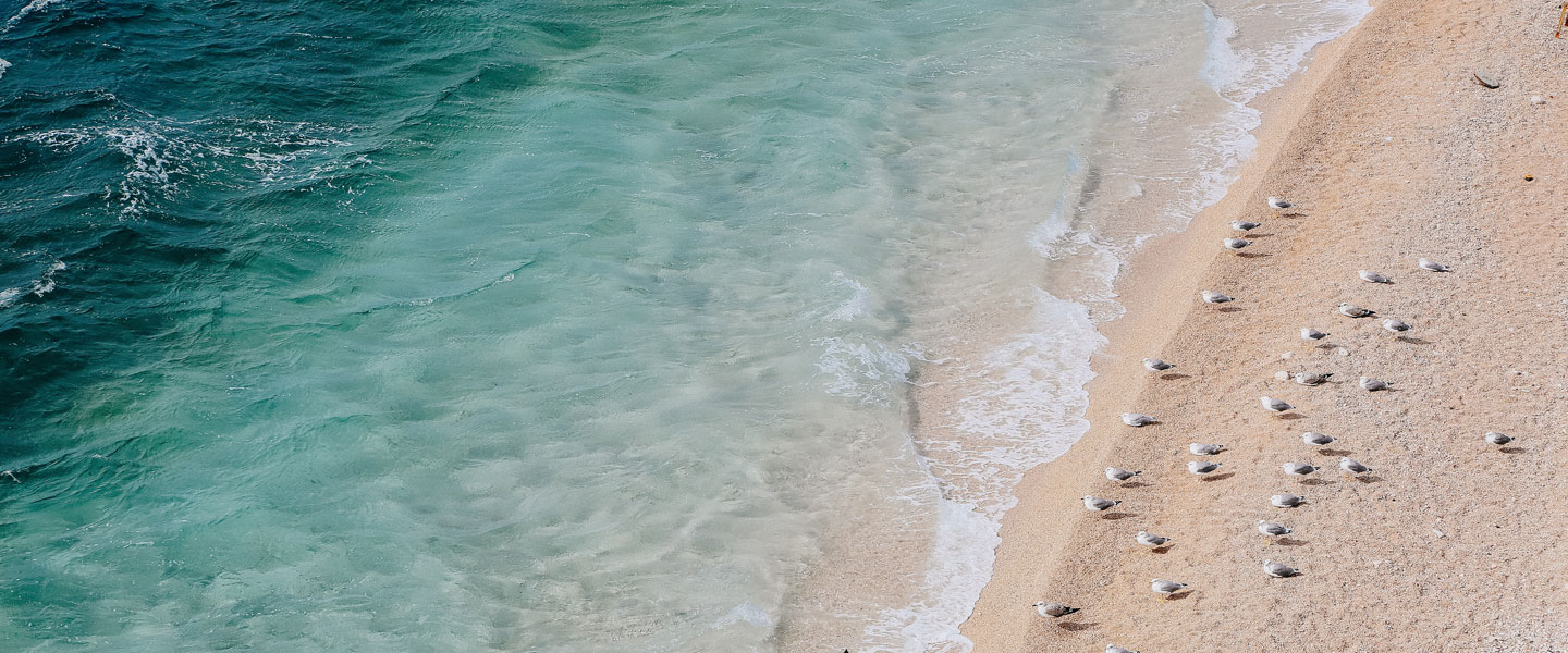 ガンビーチ。２度目のグアムに必ず行って欲しいビーチの紹介。いいもの、いい場所を伝えたい