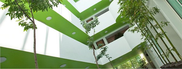 メキシコ・アカプルコ メキシコを代表するリゾートの眺望を愛でるラス ブリサス ②』アカプルコ メキシコ