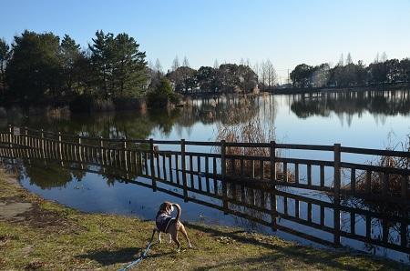 松伏総合公園多目的競技場 - スポナビ！サイタマ