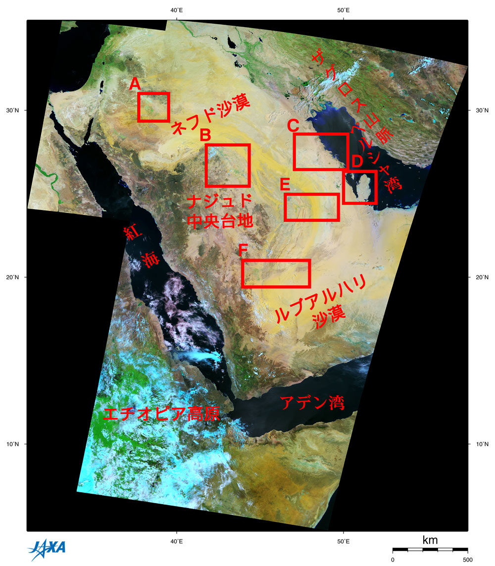 カタールヘナアート🇶🇦🌿 カタールはサウジアラビアに囲まれた 海に面した小さな面積の国です。