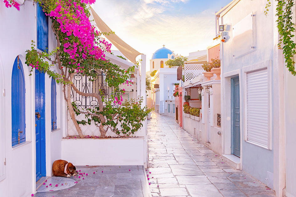 イタリア 家族旅行記家族4人の思い出が増えました！ ハプニングいっぱいで笑いっぱなしのローマ旅行！ トラベルスタンダードジャパン