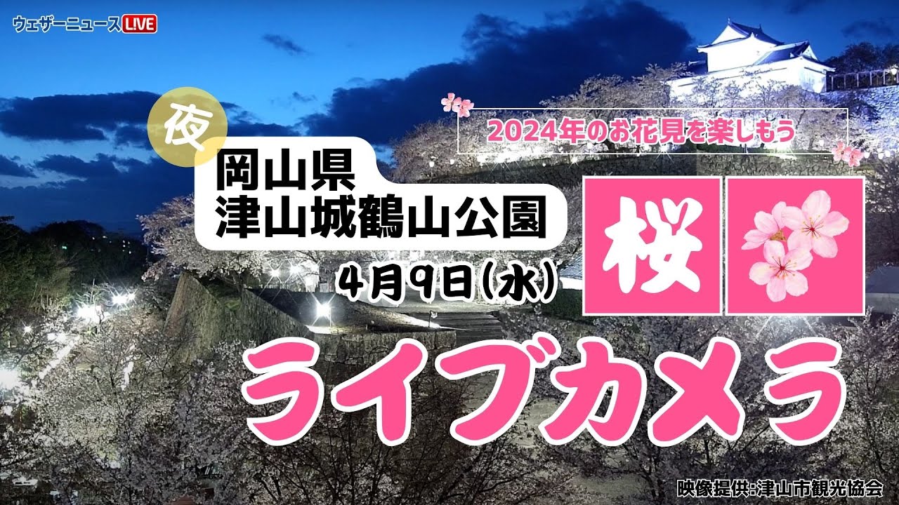 台風7号】岡山県北部に線状降水帯 津山市や鏡野町などで土砂災害警戒情報・避難指示 | 岡山・香川のニュース |