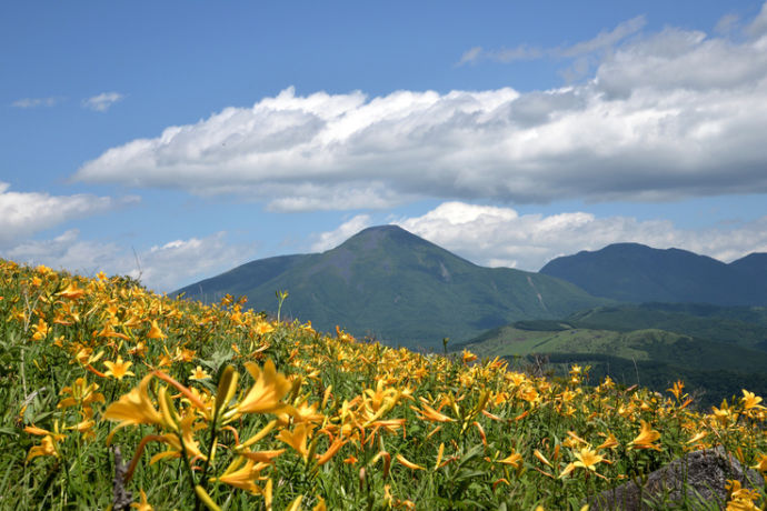 長野県 諏訪郡の「八ヶ岳自然文化園」で大自然を満喫するデートプラン - 縁結び大学
