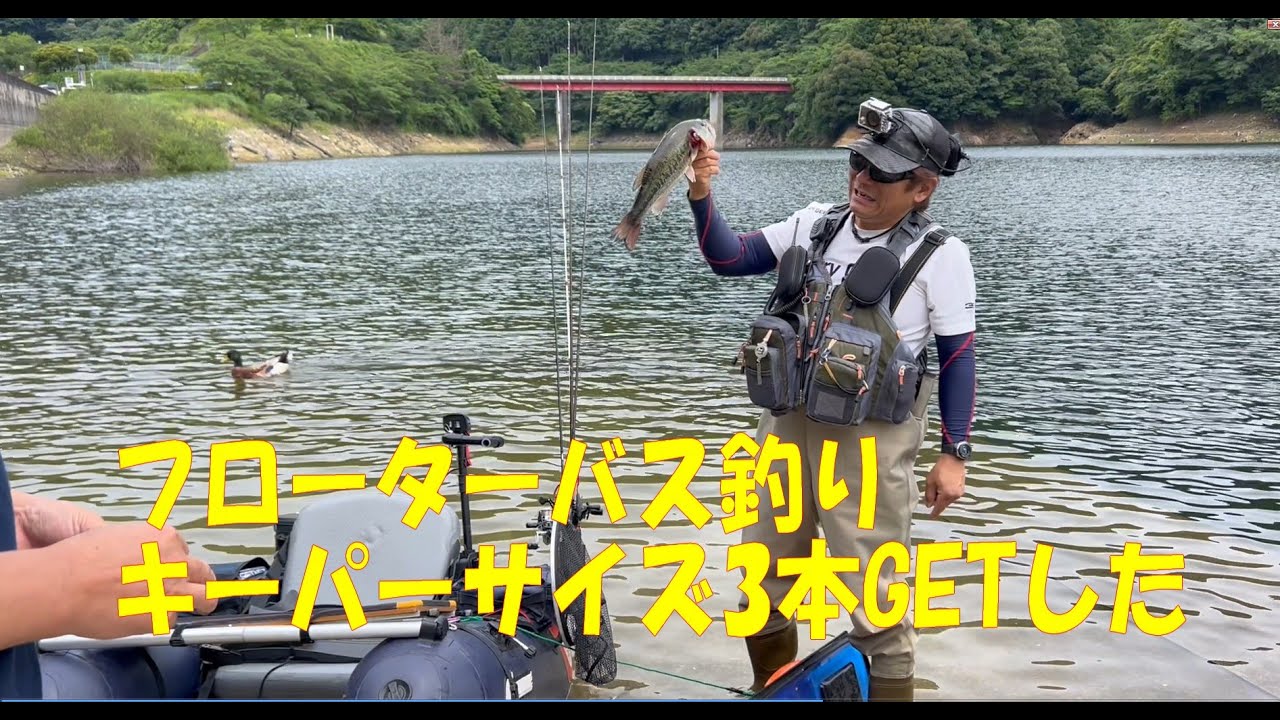 錫杖湖 安濃ダム で釣れたブラックバスの釣り・釣果情報