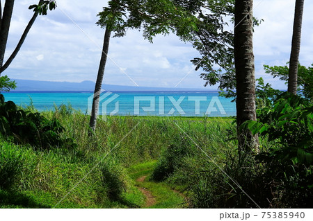 リオデジャネイロ・ガレオン国際空港からの直行便 – Europefly