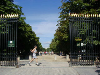 パリで一番大きい公園 Jardin du Luxembourg リュクサンブール公園パリ6区・公園村山里美『アラカンDEパリ』パリ在住。58歳から単身パリへ〜終わりの人生の始め方