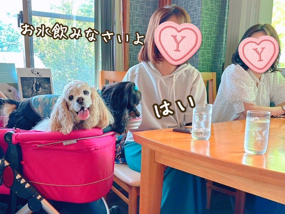 城ヶ崎海岸和食和食ごはんもつ煮定食伊東ランチ伊東グルメ 和山海料理宇賀神 0557-55-7722https:goo.gl maps gMmqiDmHutdGAuGH6