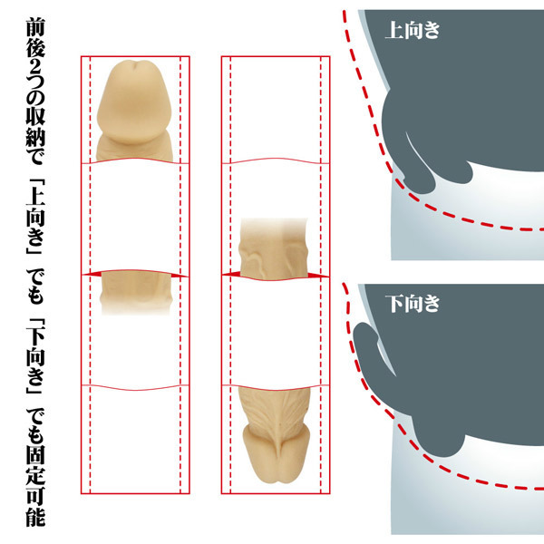 勃起の角度は何度が平均？低い原因や上向きにする方法を解説 |【公式】ユナイテッドクリニック